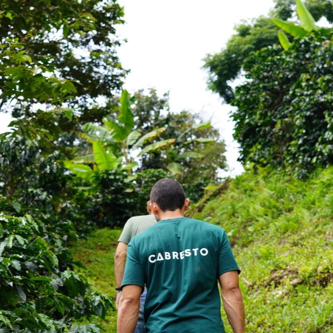Colombia Cabresto Medium-Dark 12kg Coffee Beans – Wholesale