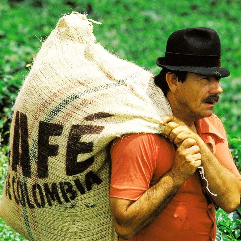 Colombia Huila Medium-Dark 1kg Coffee Beans — Wholesale