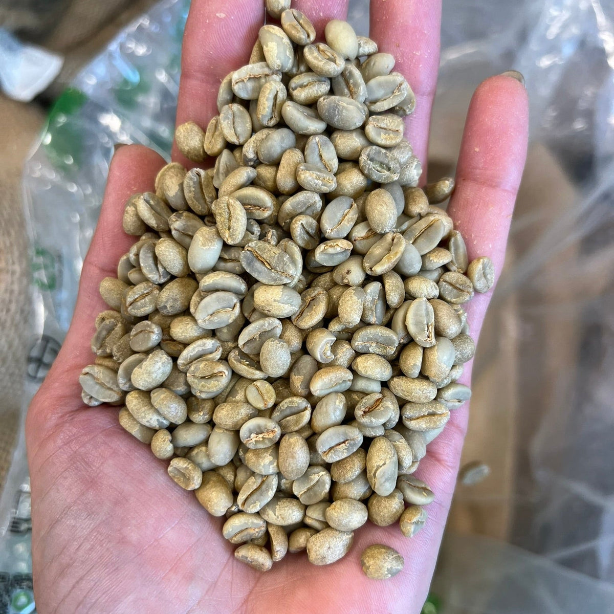 ETHIOPIA YIRGACHEFFE KOKE NATURAL - Green Coffee Beans — Wholesale