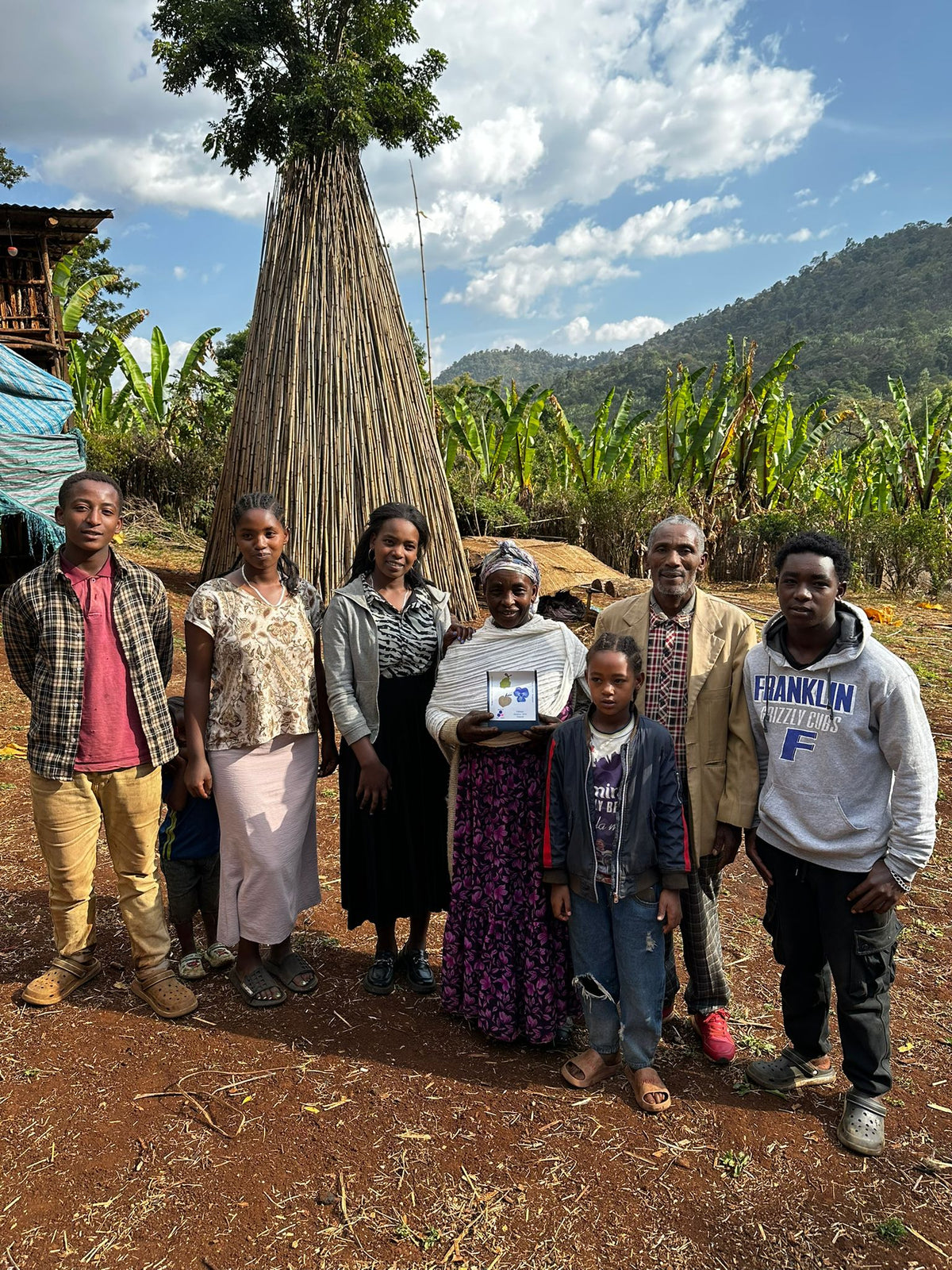 Ethiopia Yirgacheffee coffee farm