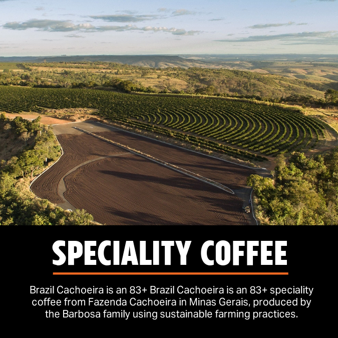 Brazil Cachoeira Medium-Dark Pallet Coffee Beans — Wholesale