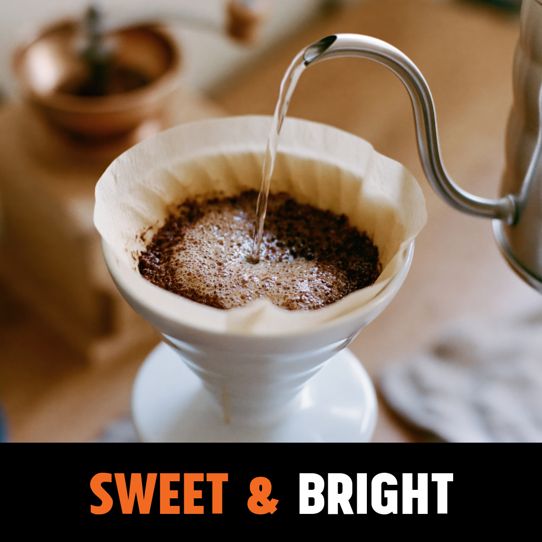 All Day Blend 6kg Coffee Beans – Wholesale