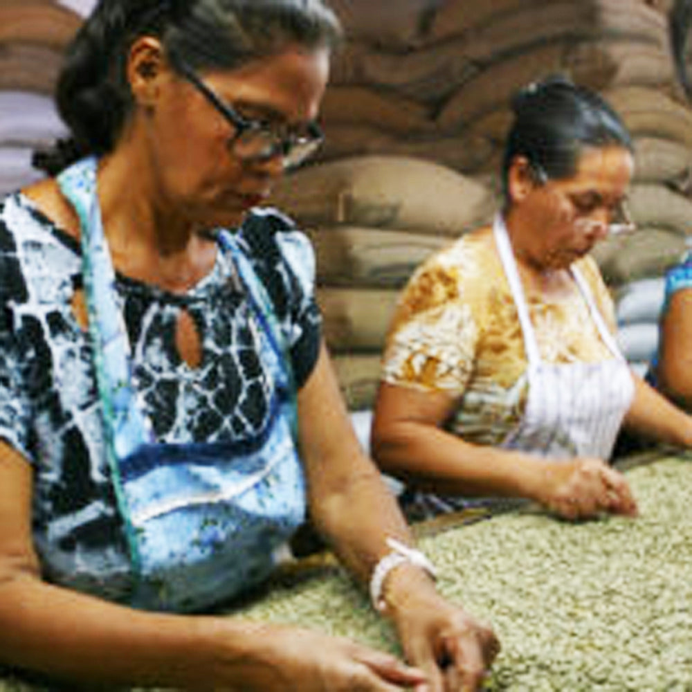 Rich Merchant Blend 1kg Ground Coffee — Wholesale