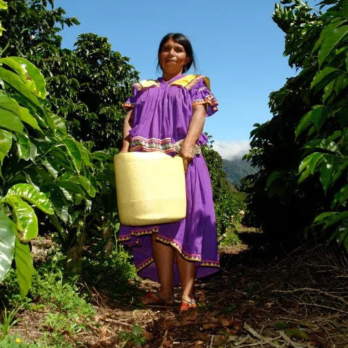 Panama Boquete Finca Hortigal 1kg Ground Coffee – Wholesale