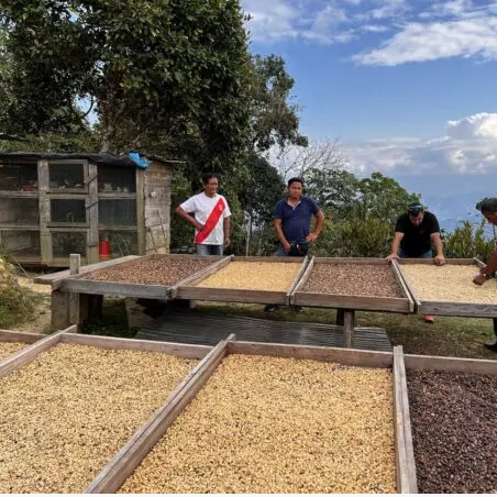 Peru Chanchamayo Speciality Grade Coffee Beans