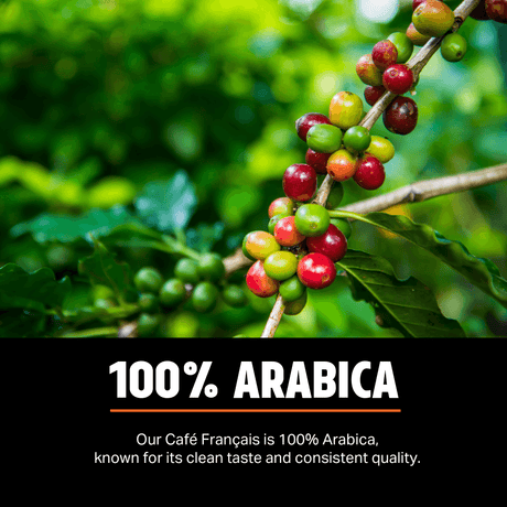 Colombia Mountain Water Decaf Coffee Beans 