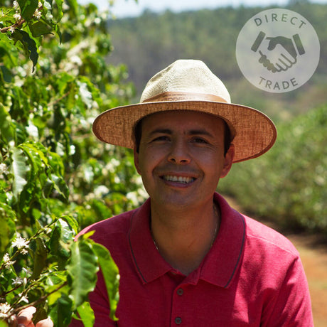BRAZIL FINCA CACHOEIRA Natural - Green Coffee Beans I Redber