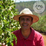 Café Français 12kg Coffee Beans – Wholesale