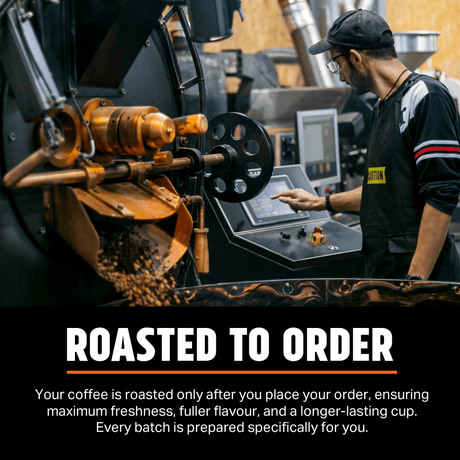 speciality coffee beans 100% arabica freshly roasted