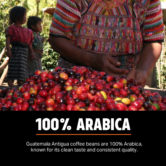 Guatemala Antigua Medium Dark Pallet Coffee Beans – Wholesale