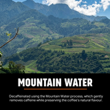 Colombia Mountain Water Decaf Coffee Beans 