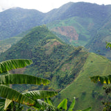 Colombia Cabresto Dark 1kg Ground Coffee – Wholesale