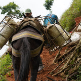 COLOMBIA CABRESTO ORGANIC Washed - Green Coffee Beans — Wholesale