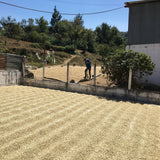 GUATEMALA DECAF SWISS WATER - Green Coffee Beans — Wholesale