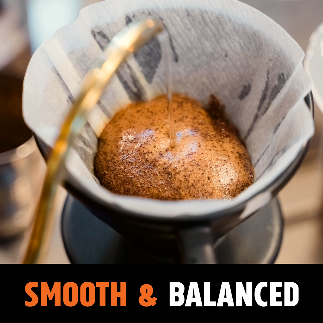 Brazil Santos Medium-Dark 6kg Coffee Beans — Wholesale