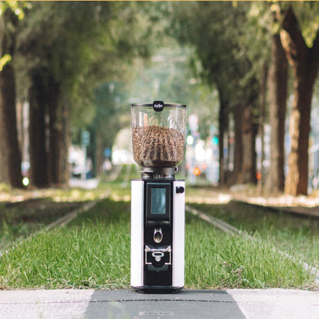 Coffee grinder with coffee beans on a path lined with trees