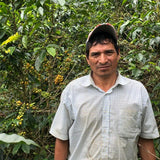 PERU SAN MARTIN SWISS WATER DECAF - Green Coffee Beans — Wholesale