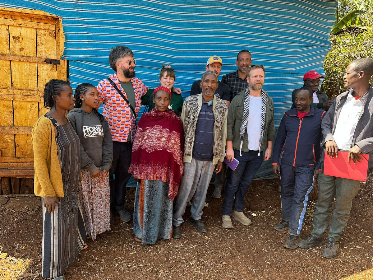 Ethiopia Yirgacheffee coffee farm