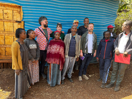 Ethiopia Yirgacheffee coffee farm