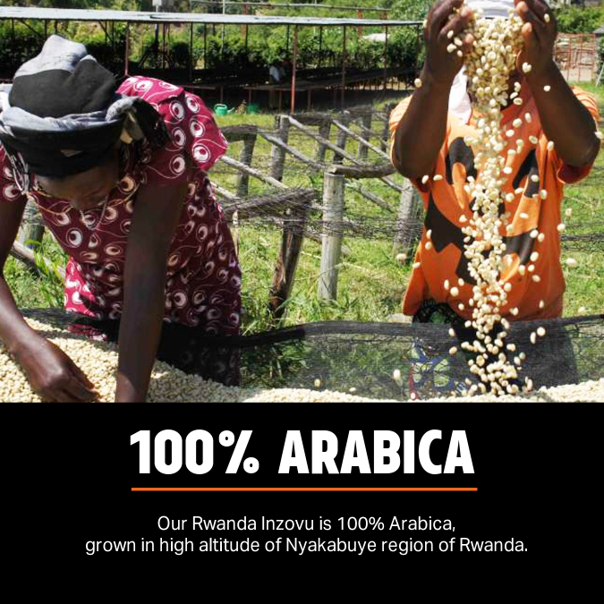 Rwanda Inzovu Medium 12kg Coffee Beans — Wholesale