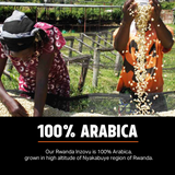 Rwanda Inzovu Medium 12kg Coffee Beans — Wholesale