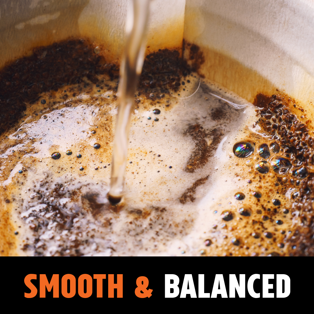 Brazil Santos Medium 6kg Coffee Beans — Wholesale