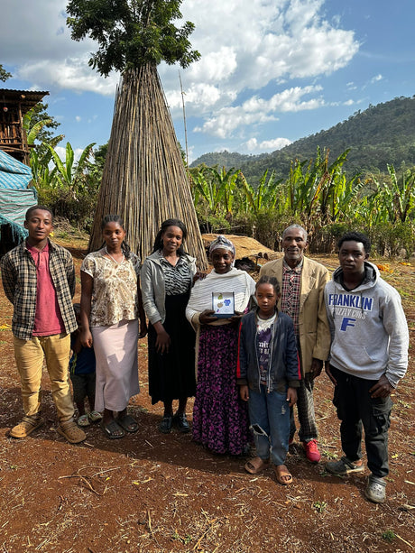 Ethiopia Yirgacheffee coffee farm