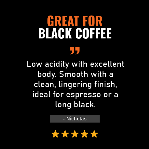 Brazil Santos Dark Pallet Coffee Beans — Wholesale