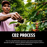 Decaf Central America Dark 12kg Ground Coffee – Wholesale