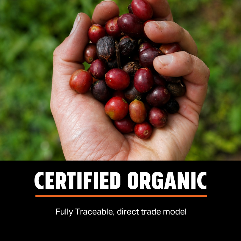 Colombia Cabresto Dark 1kg Ground Coffee – Wholesale