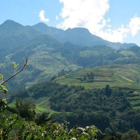 Green mountain landscape with terraced fields under a blue sky.