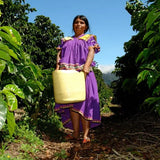 Panama Boquete Finca Hortigal 1kg Ground Coffee – Wholesale