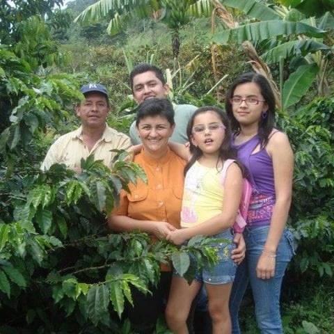 Colombia Finca Sofia Dark 6kg Ground Coffee — Wholesale