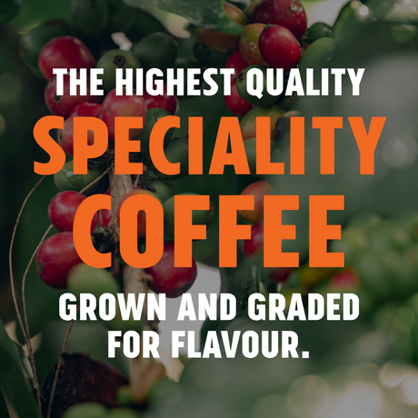 Coffee cherries with text about specialty coffee quality